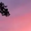 Dylan - @dylanmoses65 - TikTok