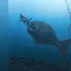 Dylan Moses - @dylanmoses23 - TikTok
