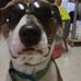 Dylan Moses - Facebook