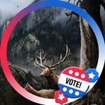 Dylan Nash - Facebook