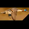 DylanNobles_11 - @countryboyzz_11 - TikTok