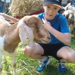 Dylan Nolan - @dylannolan36 - Instagram
