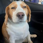 Dylan Noonan - @dylan_haslte_brook_ - Instagram