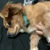 Dylan Nunez - @dylan.nunez04 - TikTok