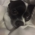 Dylan Nunner - @dylannunner - Instagram