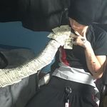 Dylan Odom - @23young_band_chaser - Instagram