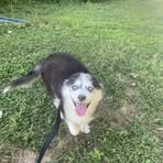 Dylan Perdue - Facebook