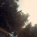 Dalian Petrita - Facebook