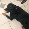 dylan p - @dylan.plummer - TikTok