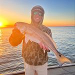 Dylan Poe - @dylan_poe - Instagram