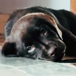Dylan - @dylan.quinto_ - Instagram