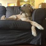 Dylan Quigley - @quiglestein_llp - Instagram