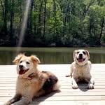 Dylan & Rainey - @dylanandrainey - Instagram