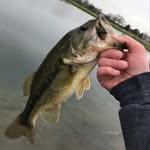 Dylan Rainey - @rainey.dylan - Instagram