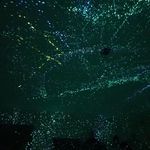 Dylan Ramey - @dylan.ramey.969 - Instagram