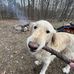 Dylan Randolph - Facebook