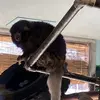 dylan_reyes - @dylan_reyes55 - TikTok