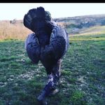 Dylan Ritchie - @dylan.ritchie1028 - Instagram
