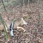 Dylan Rittenhouse - @backwoods_blaze - Instagram