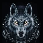 Dylan Ritter - @xxdarkwolfx123 - Instagram