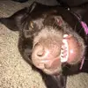 Dylan Rodebaugh - @dylan.rodebaugh - TikTok