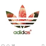 Dylan Rodewald - @dylan_rodewald - Instagram
