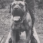 Dylan Roden - @dylanroden22 - Instagram