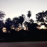 Dylan Romero - @dylanromero303 - Instagram
