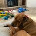 Dylan Rose - Facebook