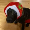 Dylan Rose - @dylan.rose5 - TikTok
