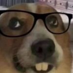 Dylan - @dylan_sauly - Instagram