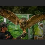 Dylan Saunders - @diesel_dylan6.7 - Instagram