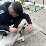 Dylan Scanlon - @dylan_scanlon1 - Instagram