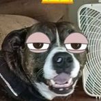 Dylan Schubert - Facebook
