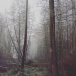 Dylan schwarz - @dylanschwarzphoto - Instagram