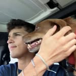 Dyl - @dylanseison - Instagram