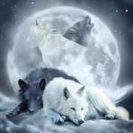 Dylan Sergent - Facebook