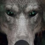 Dylan_Shaffer - @dylan_shaffer_11 - Instagram