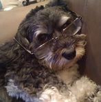 Dylan Shaver - Facebook