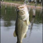 Dylan Shaver - @im_a_bassaholic - Instagram