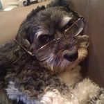 Dylan Shaver - @savagegamer134 - Instagram