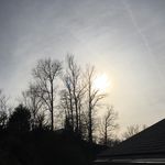 Dylan Shaver - @dylan__shave - Instagram