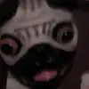 dylansheets22 - @user22231719 - TikTok