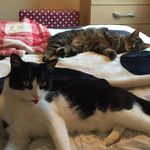 Dylan & Sheldon - @dylanandsheldon1 - Instagram