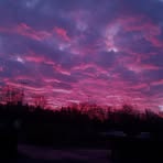Dylan Sheldon - Facebook