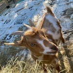 Ellasyn Dylan Skala - @dylan_kayrey - Instagram