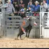 SKINNER - @dylanskinner987 - TikTok
