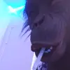 Dylan Sparks - @dylansparks08 - TikTok