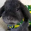 StacyDylan_F3b - @stacydylan_f3b - TikTok