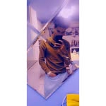 _dylan.stanley - @icey_kingx - Instagram